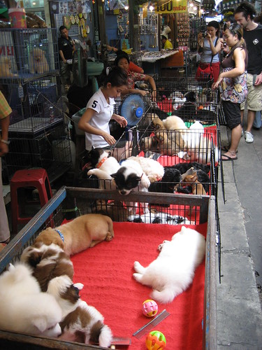 Bangkok weekend market