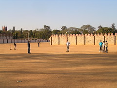 Jugando al cricket (II)