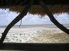 A hide for bird watching and game viewing.JPG