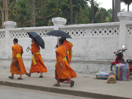 Umbrella monks 1