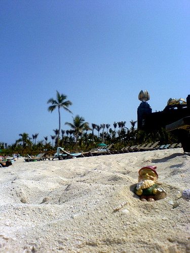 gnome hits the beach