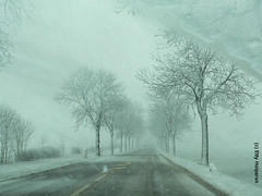 Snow storm on my road
