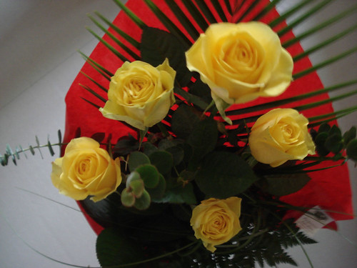 Roses for Teresa