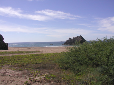 View from Tenacatita beach