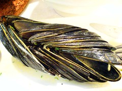 Mussel Shells at Brussel Sprouts