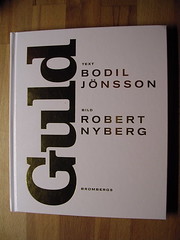Bodil Jönsson liten