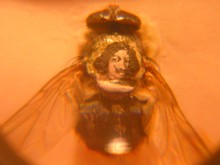 Pintura en la espalda de una mosca