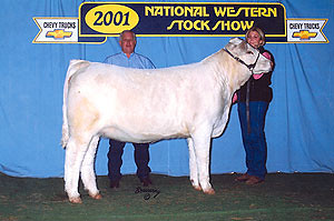 National Western Stock Show 