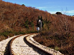 ferrovia, binari, autunno