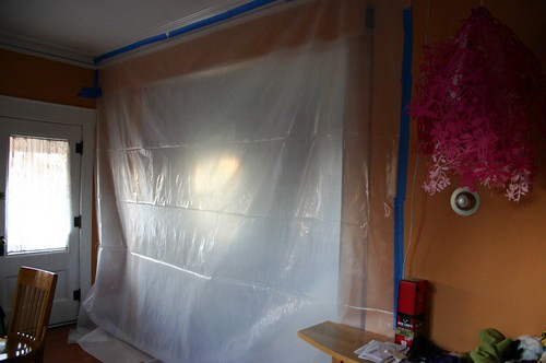 Admiring my plastic sheet in the living room?