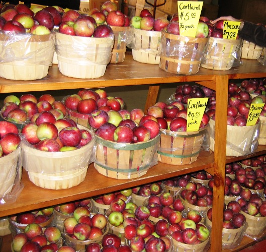 baskets of apples in Scituate, Rhode Island