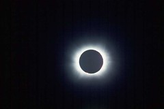1979 eclipse (photo by Matthew Cole)