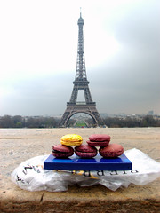 Macarons Gregory Renard à la Tour Eiffel