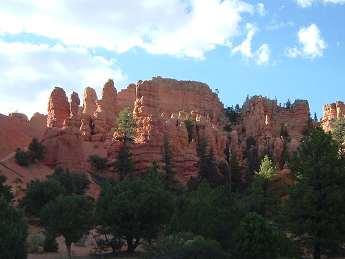 Dixie National Forest, Utah, a few miles from Bryce Canyon National Park