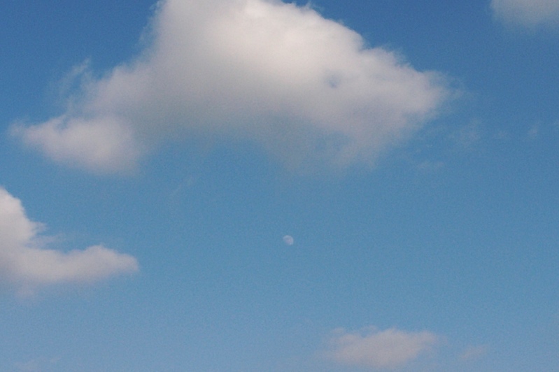 Moon in the afternoon