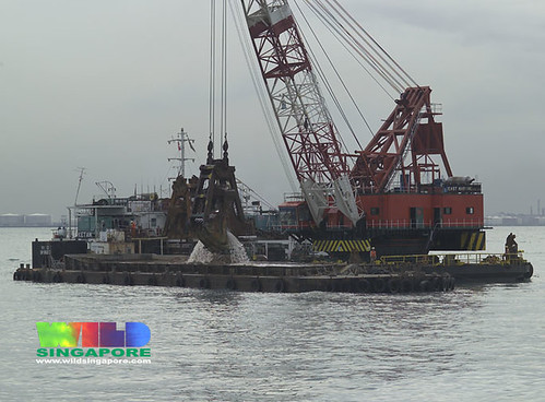 Threats to Singapore marinelife: dredging