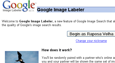 Google  image labeler