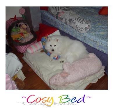 Cosy Bed_-_01