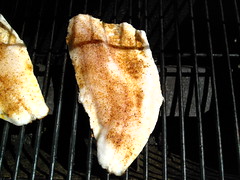 Walleye fillet on the grill