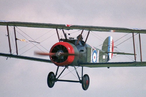 Warbird picture - Sopwith Camel (Replica)
