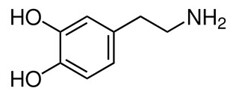 440px-Dopamine2.svg