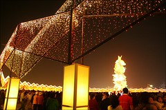 2007台灣燈會在嘉義138