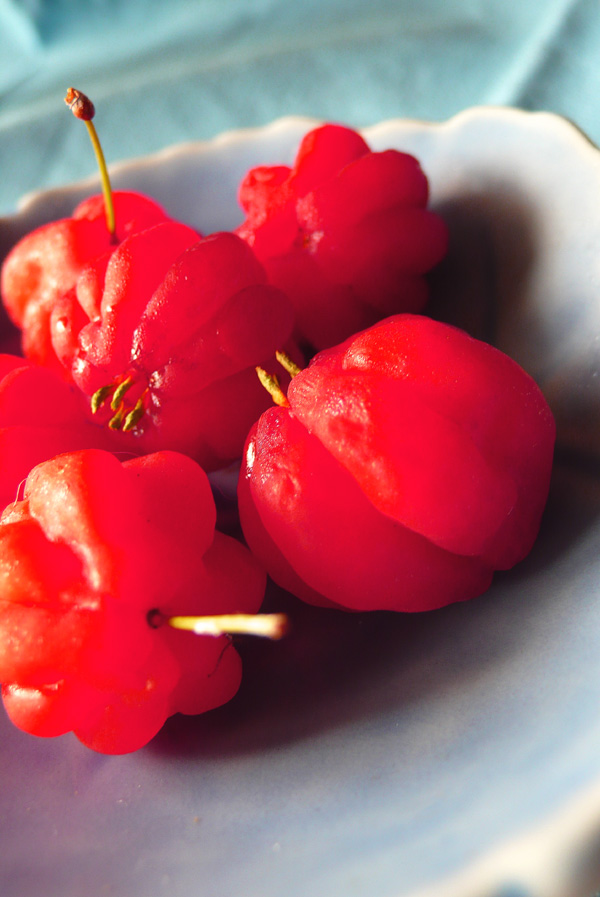 life is just a bowl of surinam cherries 1