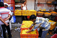 Petals, Toil and Business at Dadar’s Phulgalli...