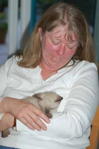 Laura with kitten