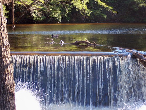 ducks and waterfall
