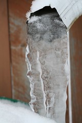 Winter Downspout 5