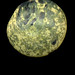 Small Planet 1398