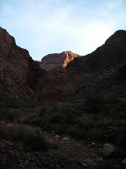 morning canyon