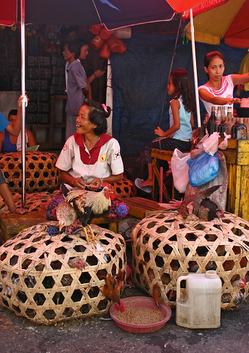 Carbon Market, Cebu city live chicken rooster street sidewalk vendor market vendor Pinoy Filipino Pilipino Buhay  people pictures photos life Philippinen  菲律宾  菲律賓  필리핀(공화국) Philippines    