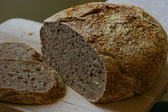 Whole Wheat No Knead Bread