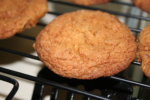 cookie of the week -- yummy gingersnaps
