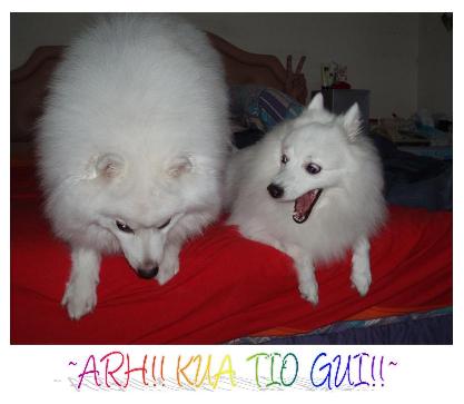 Shiro & Yoyo_-_04