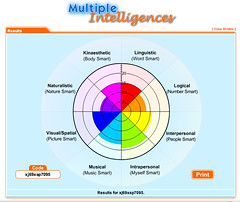 multiple intelligences test results