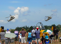 Sea Sprite helicopters perform for the crowd