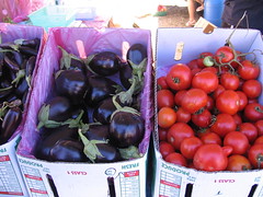 eggplant & tomatoes