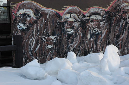 Musk Oxen mural, Anchorage, Alaska by Wonderlane