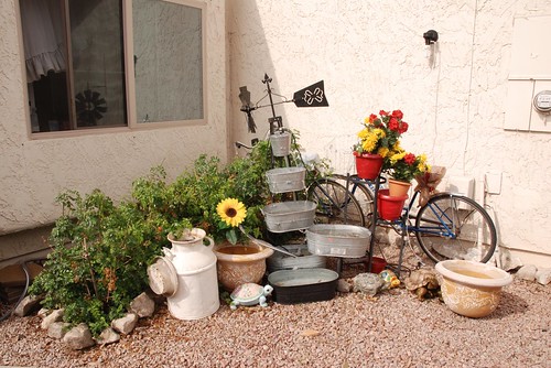 Bikes in the Garden - Mesa, AZ