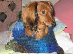 lulu in scarf