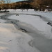 Frozen pond of the park