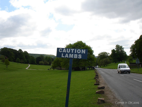 正前方是通往 Chatsworth House 的小路，右邊便是那條只有汽車快速駛過的大路