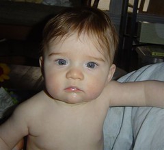 Feb. 2005 (5 months old)