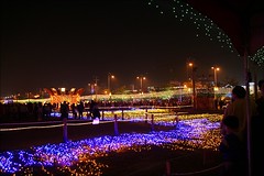 2007台灣燈會在嘉義054