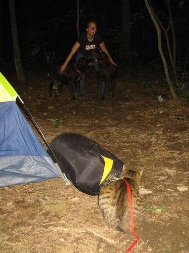 20060909 – Camping with Misfit – 106-0619 – Carolyn plays with the dogs, Misfit watches