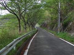 green road
