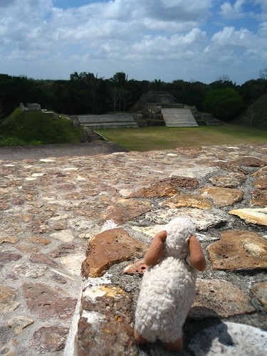 On top of a temple - Youssouf at Maya ruines of Altun Ha